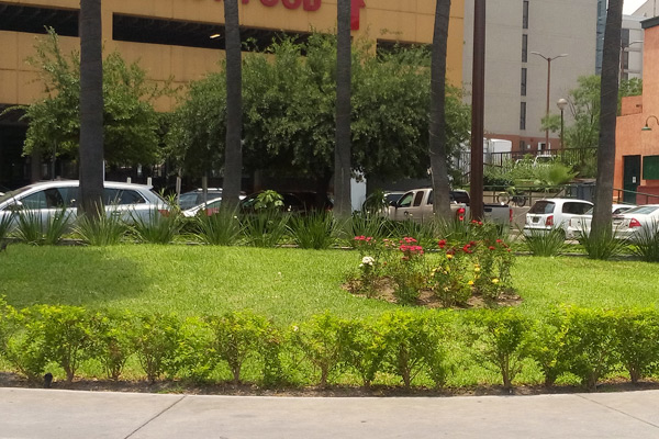 Diseño y mantenimiento de jardines